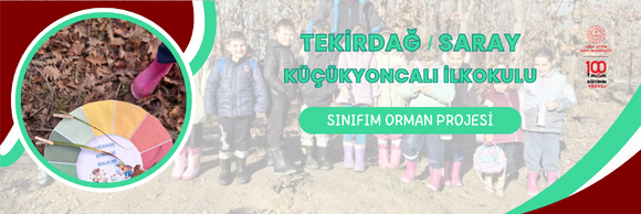 SINIFIM ORMAN PROJESİ