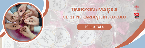 TOHUM TOPU