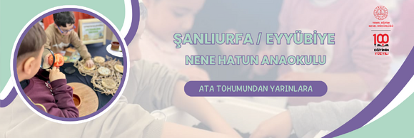ATA TOHUMUNDAN YARINLARA